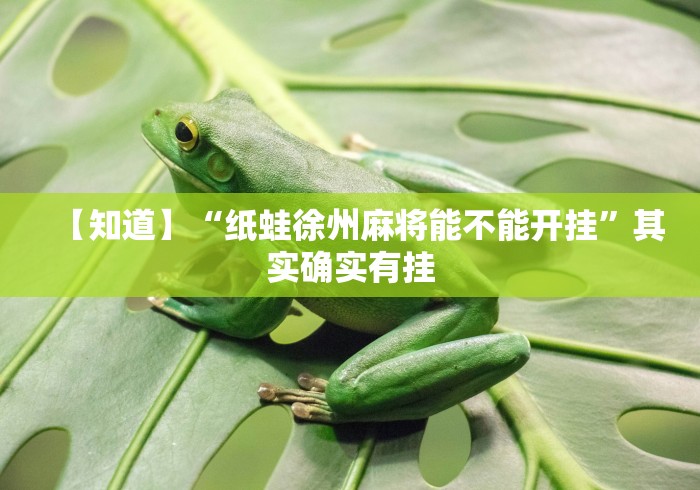 【知道】“纸蛙徐州麻将能不能开挂”其实确实有挂