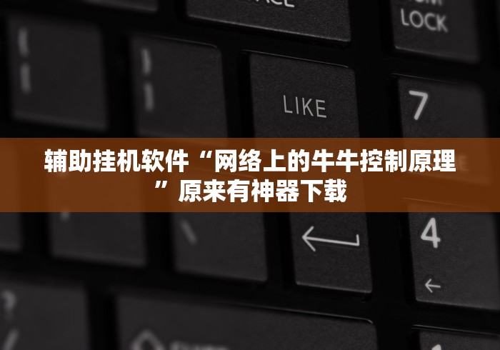 辅助挂机软件“网络上的牛牛控制原理	”原来有神器下载