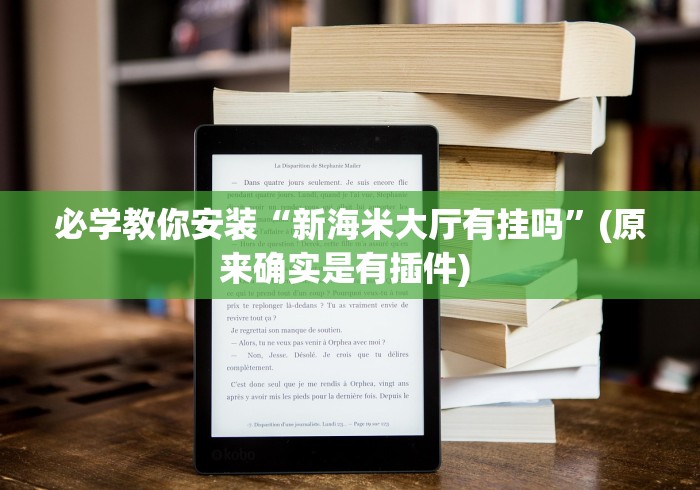 必学教你安装“新海米大厅有挂吗”(原来确实是有插件) 