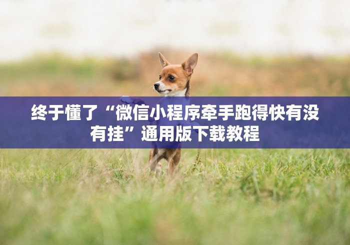 终于懂了“微信小程序牵手跑得快有没有挂	”通用版下载教程