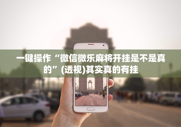 一键操作“微信微乐麻将开挂是不是真的”(透视)其实真的有挂