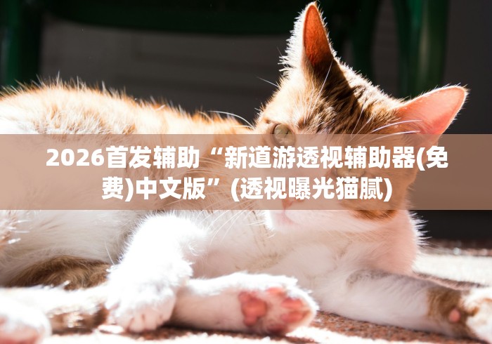 2026首发辅助“新道游透视辅助器(免费)中文版”(透视曝光猫腻)