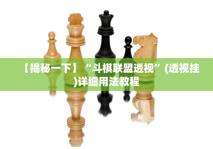 【揭秘一下】“斗棋联盟透视”(透视挂)详细用法教程