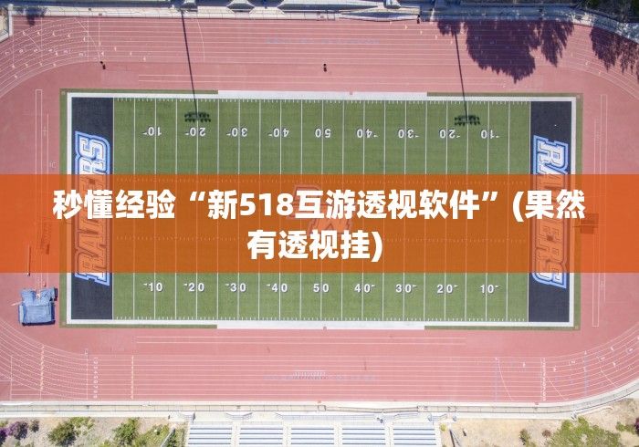 秒懂经验“新518互游透视软件”(果然有透视挂) 