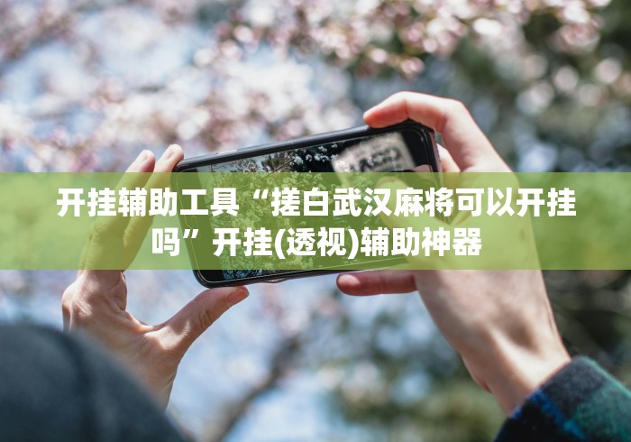 开挂辅助工具“搓白武汉麻将可以开挂吗”开挂(透视)辅助神器