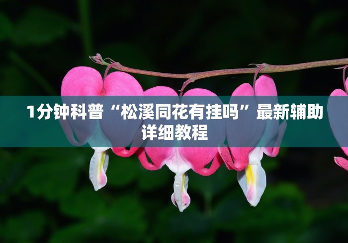 1分钟科普“松溪同花有挂吗	”最新辅助详细教程
