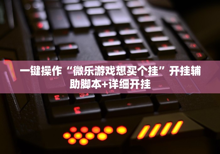 一键操作“微乐游戏想买个挂”开挂辅助脚本+详细开挂