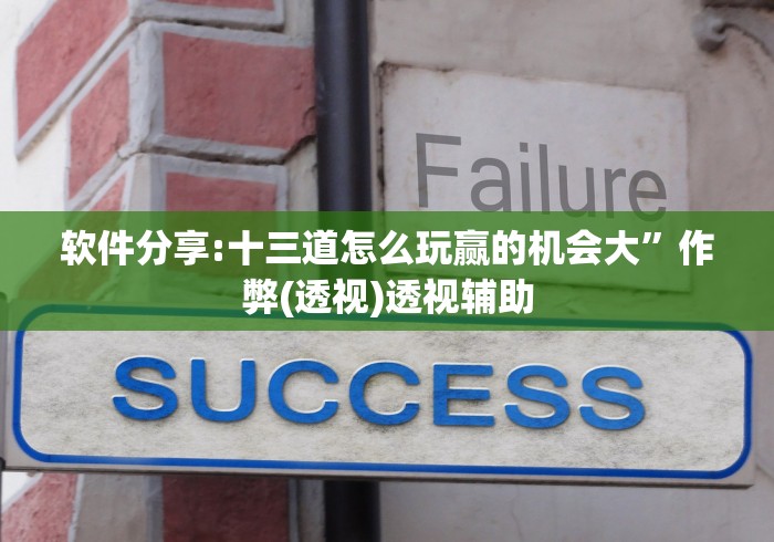 软件分享:十三道怎么玩赢的机会大”作弊(透视)透视辅助