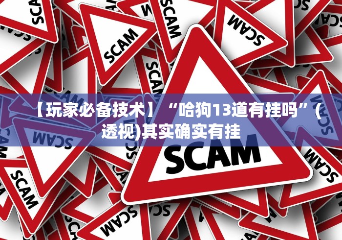 必胜技巧全攻略“多乐跑胡子如何提高胡牌率”作弊(透视)透视辅助