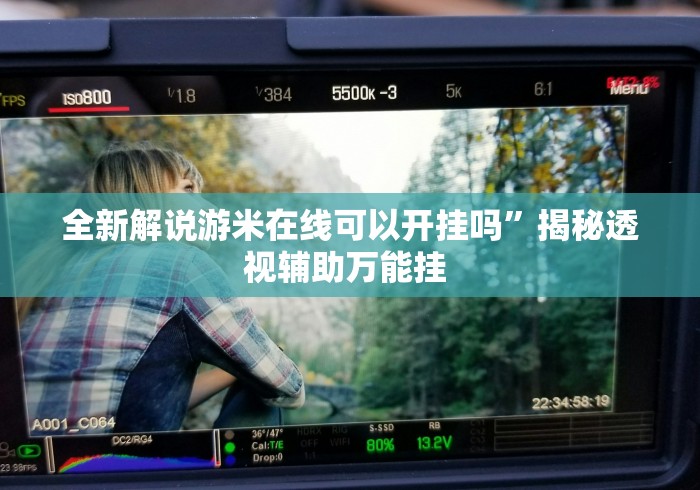 全新解说游米在线可以开挂吗”揭秘透视辅助万能挂 