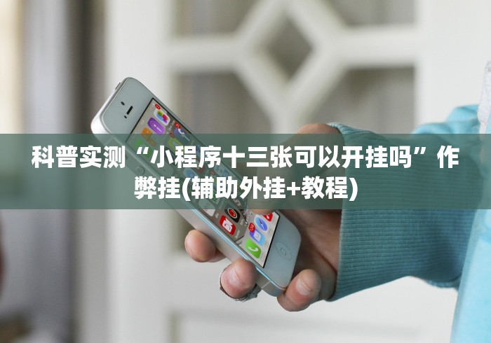 科普实测“小程序十三张可以开挂吗”作弊挂(辅助外挂+教程)