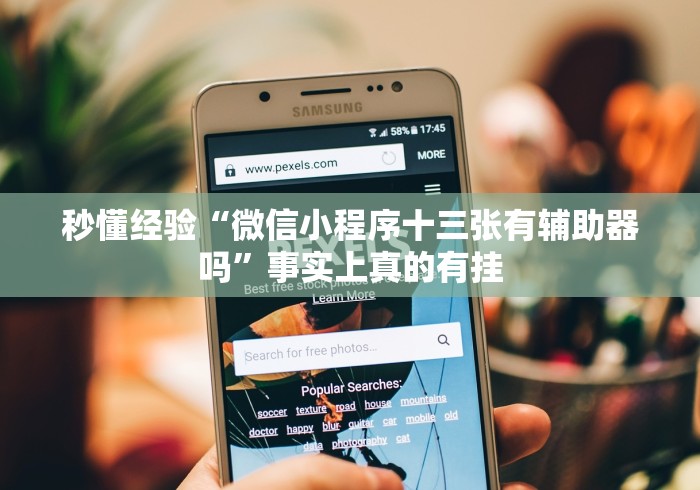 秒懂经验“微信小程序十三张有辅助器吗”事实上真的有挂