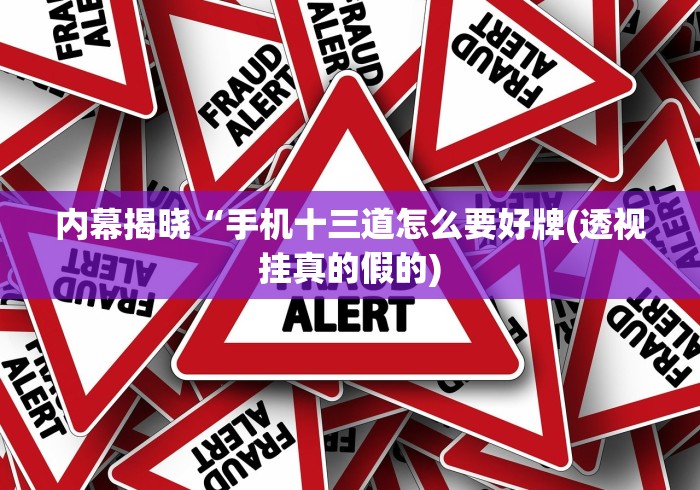 推荐一款“九霄仙宗棋牌透视”开挂详细教程