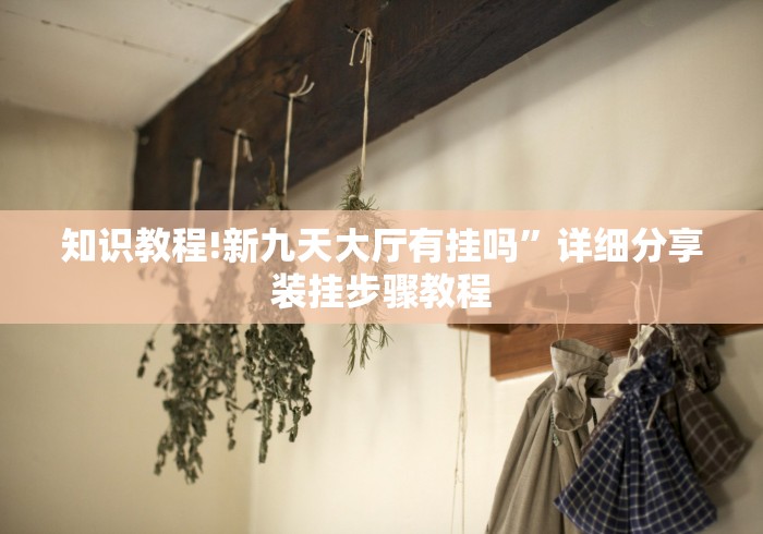知识教程!新九天大厅有挂吗	”详细分享装挂步骤教程
