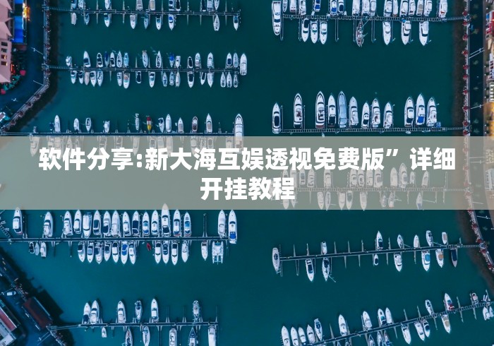 软件分享:新大海互娱透视免费版”详细开挂教程