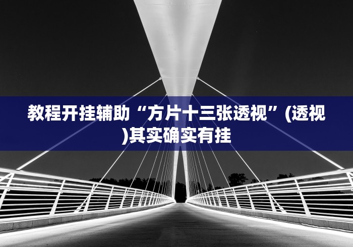 推荐一款“微乐麻将能下挂吗”揭秘透视辅助万能挂用法