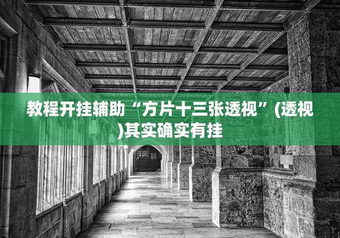 教程开挂辅助“方片十三张透视”(透视)其实确实有挂
