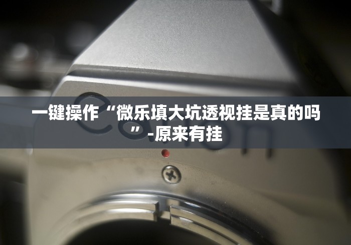 玩家必学攻略“聚闲麻将挂先试用后付款”掌握辅助功能必胜规则