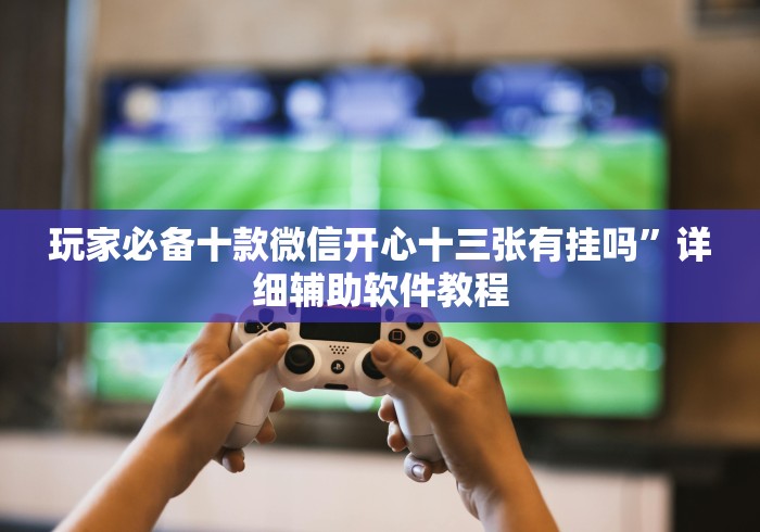 玩家必备十款微信开心十三张有挂吗	”详细辅助软件教程