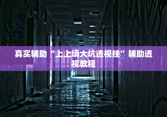 真实辅助“上上填大坑透视挂”辅助透视教程