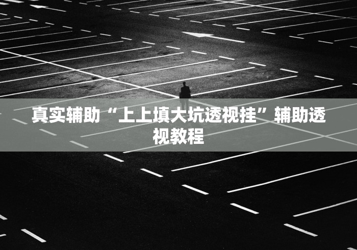 真实辅助“上上填大坑透视挂”辅助透视教程