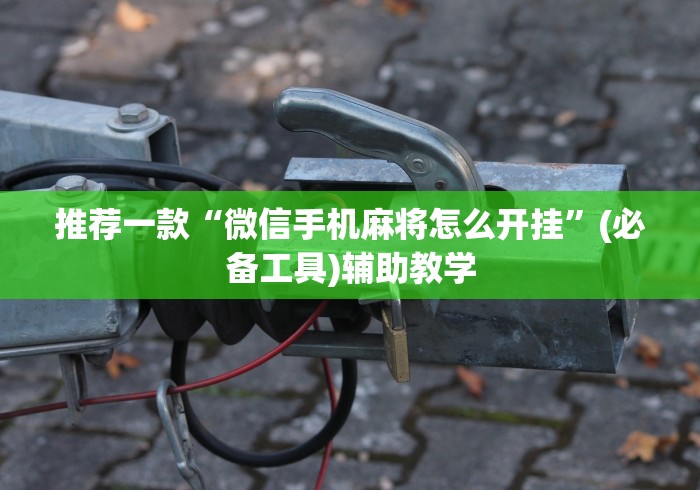 推荐一款“微信手机麻将怎么开挂”(必备工具)辅助教学