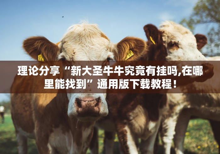 【知识科普】“微乐陕西三代怎么拿一手好牌	”详细开挂玩法