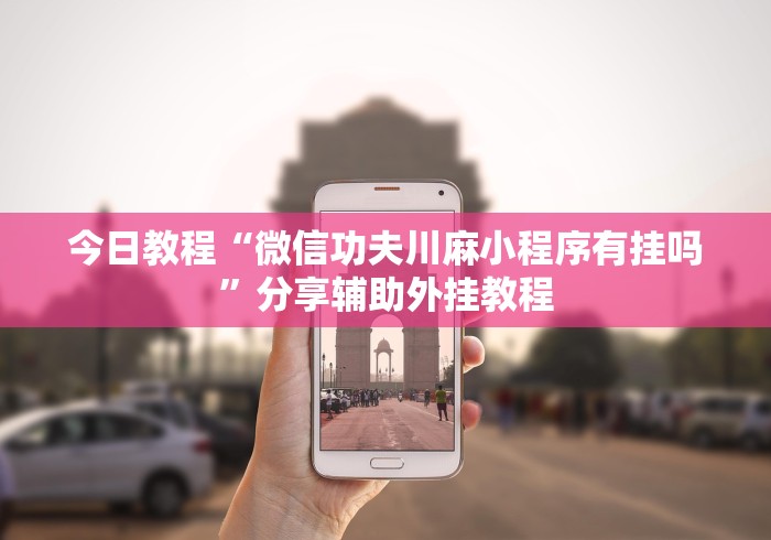 万能开挂辅助“皮皮湖北麻将有挂吗”作弊挂(辅助外挂+
