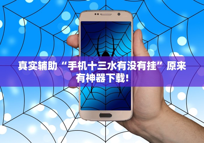 真实辅助“手机十三水有没有挂”原来有神器下载!