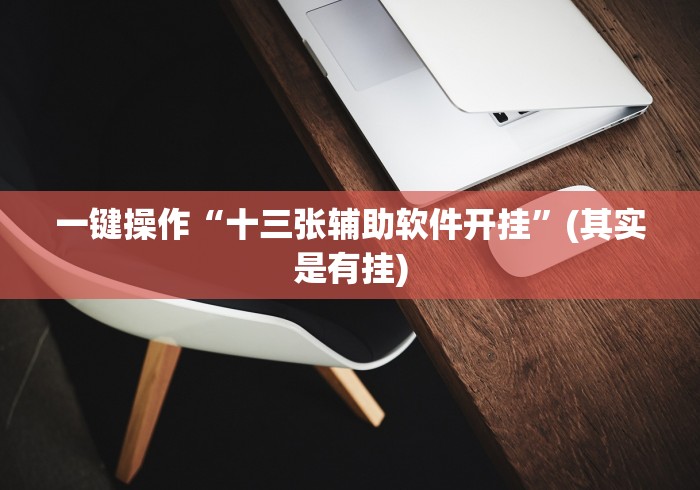一键操作“十三张辅助软件开挂	”(其实是有挂)