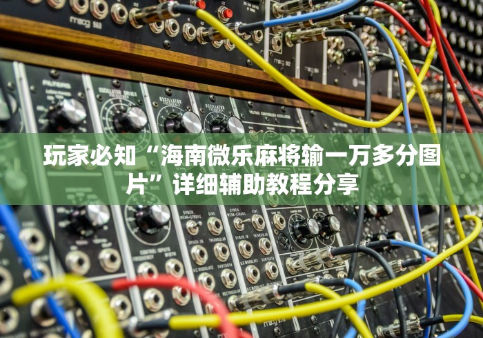 玩家必知“海南微乐麻将输一万多分图片”详细辅助教程分享