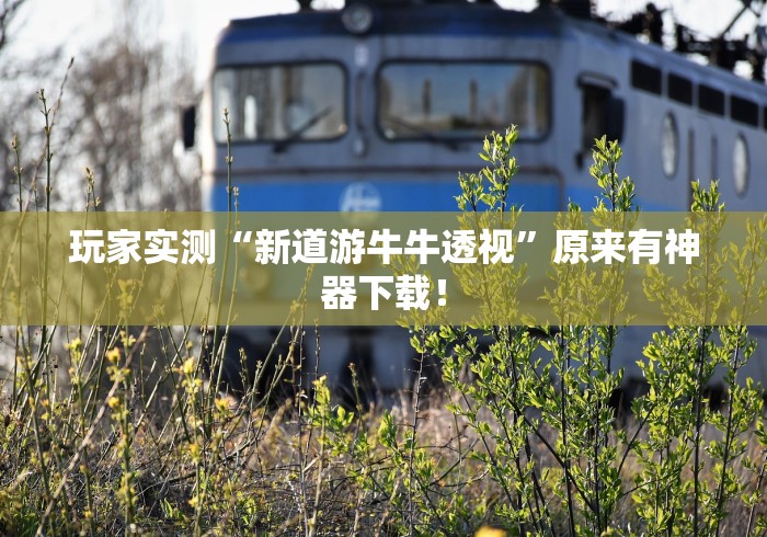 玩家实测“新道游牛牛透视”原来有神器下载！