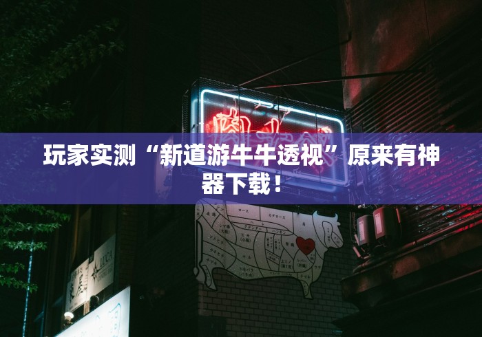 理论分享“卡丁娱乐辅助器试用版”(果然有透视挂)