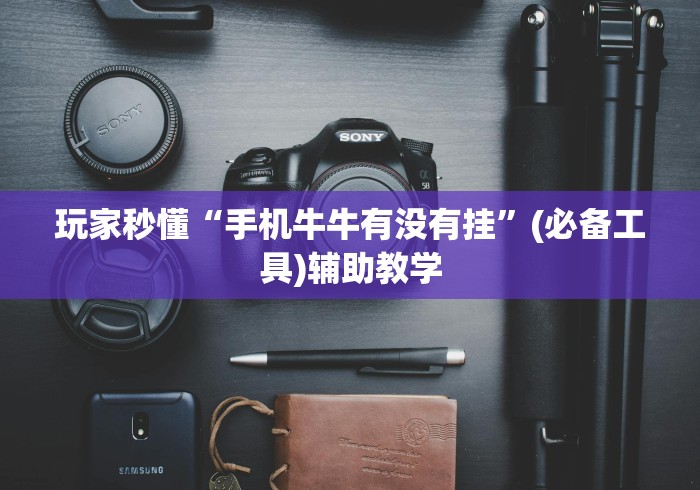 [推荐]“填坑神器辅助”详细外挂安装步骤
