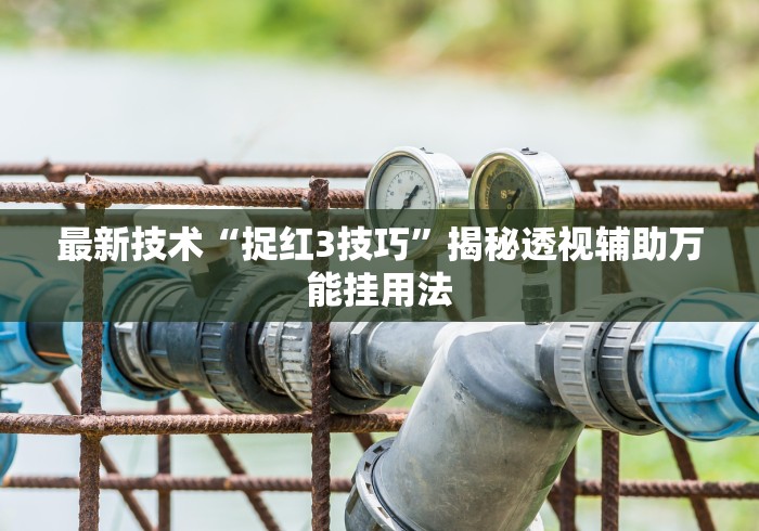大家普及一下“五人填大坑技巧”(助赢详细开挂教程)