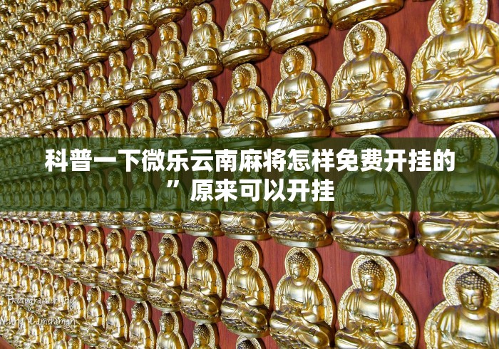 科普一下微乐云南麻将怎样免费开挂的”原来可以开挂