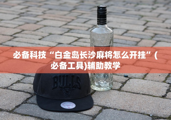 必备科技“白金岛长沙麻将怎么开挂”(必备工具)辅助教学