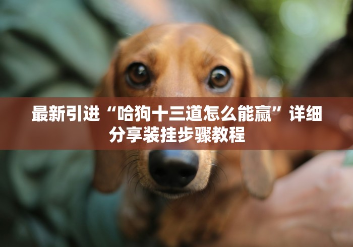【独家发现】“八闽福建麻将必胜攻略”(详细开挂教程)