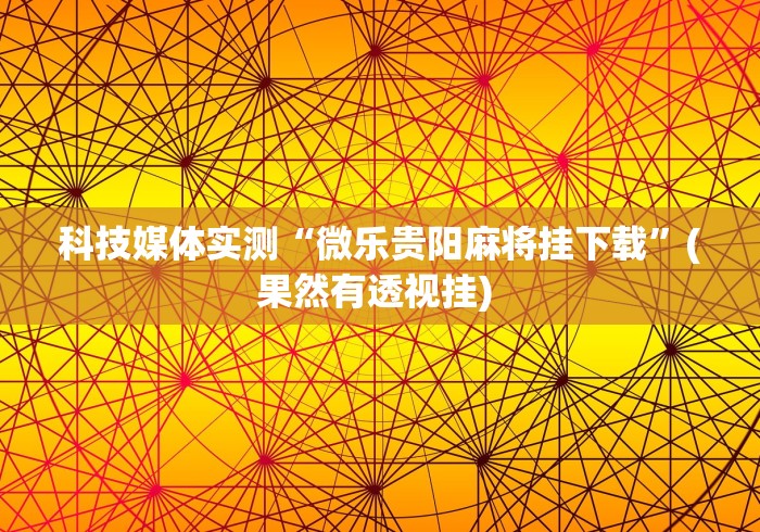 科技媒体实测“微乐贵阳麻将挂下载”(果然有透视挂) 