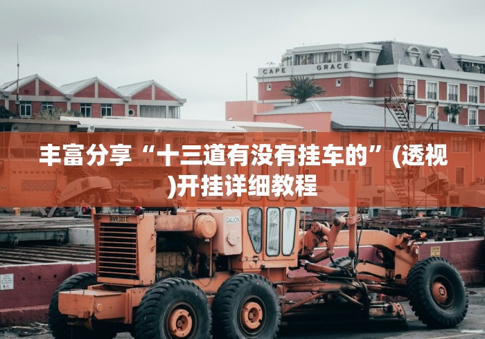 丰富分享“十三道有没有挂车的”(透视)开挂详细教程