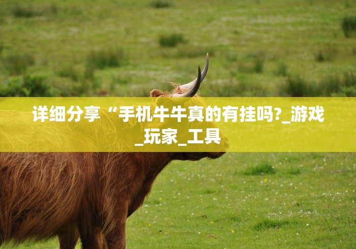 详细分享“手机牛牛真的有挂吗?_游戏_玩家_工具 详细分享“手机牛牛真的有挂吗?_游戏_玩家_工具