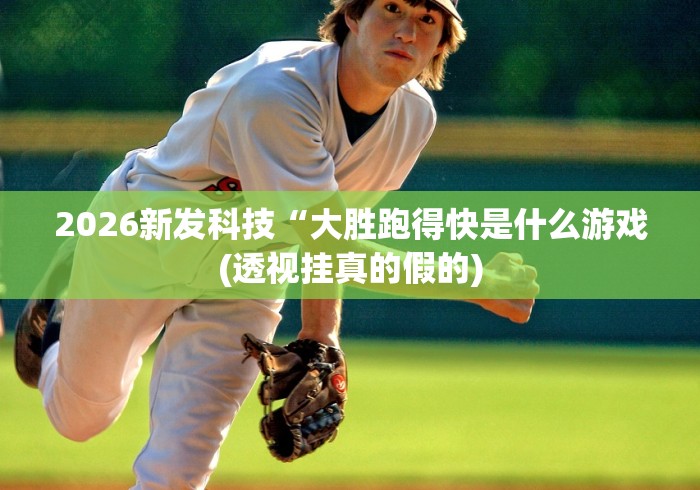 [分享]“胜奕填大坑下载	”详细开挂教程