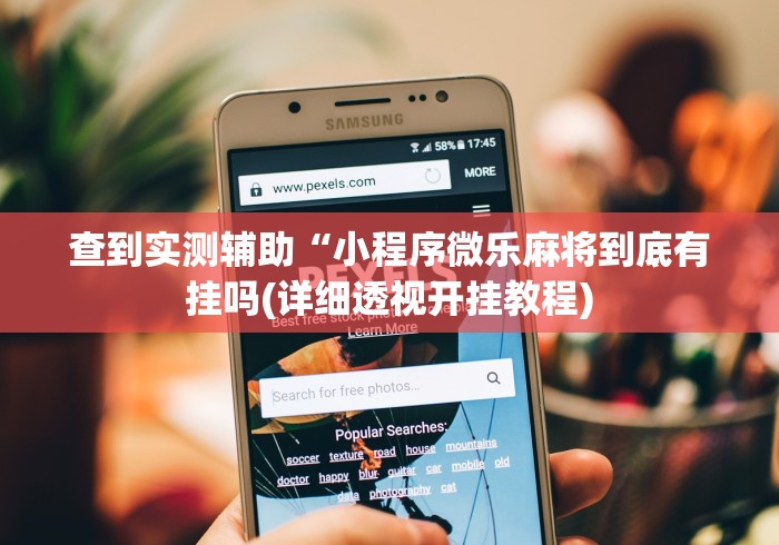 查到实测辅助“小程序微乐麻将到底有挂吗(详细透视开挂教程) 查到实测辅助“小程序微乐麻将到底有挂吗(详细透视开挂教程)