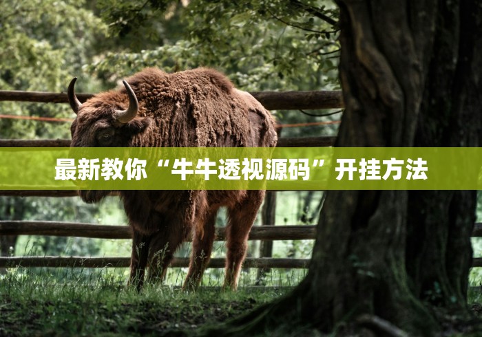 最新教你“牛牛透视源码	”开挂方法