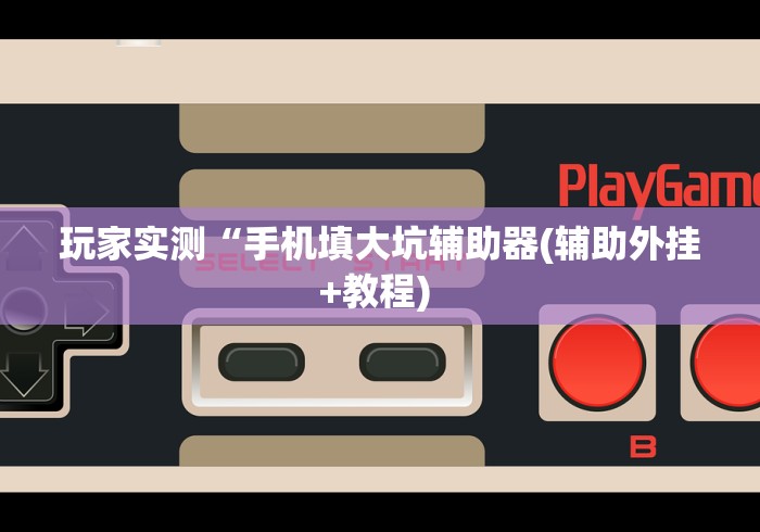 玩家实测“手机填大坑辅助器(辅助外挂+教程) 玩家实测“手机填大坑辅助器(辅助外挂+教程)
