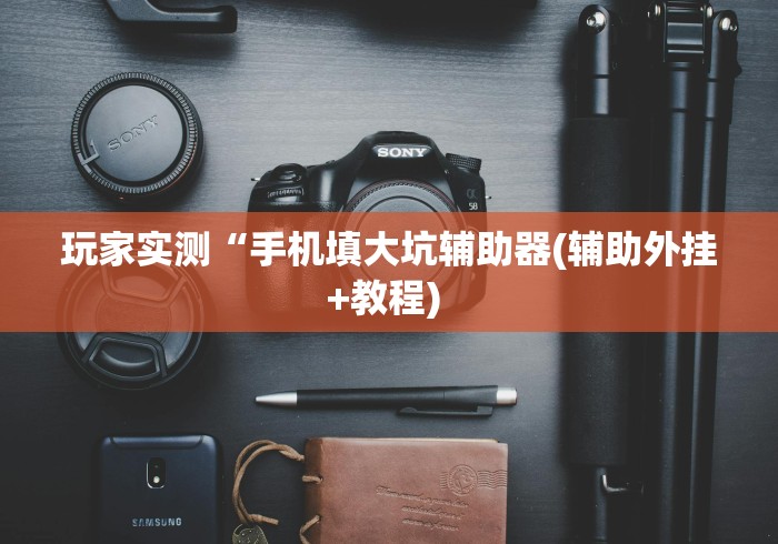 玩家实测“手机填大坑辅助器(辅助外挂+教程) 玩家实测“手机填大坑辅助器(辅助外挂+教程)