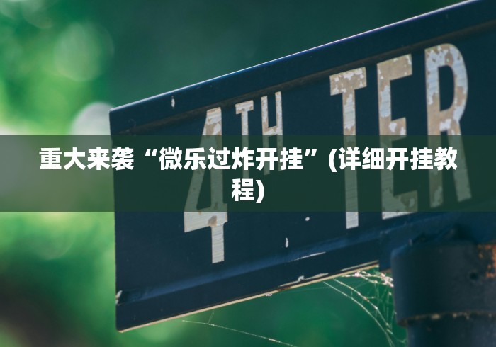 重大来袭“微乐过炸开挂”(详细开挂教程)