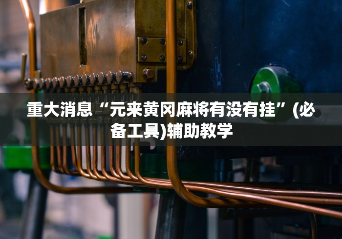 重大消息“元来黄冈麻将有没有挂”(必备工具)辅助教学