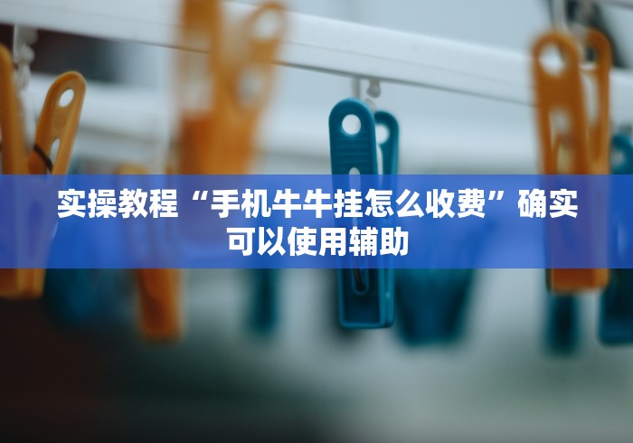实操教程“手机牛牛挂怎么收费”确实可以使用辅助