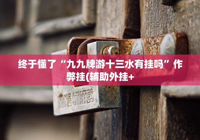 我来教你“新上游可以开挂吗	”(原来确实是有插件)